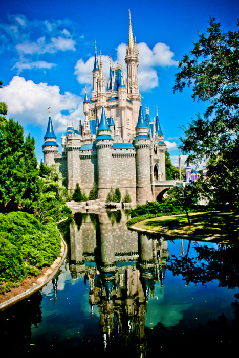 Disney Castle Magic Kingdom