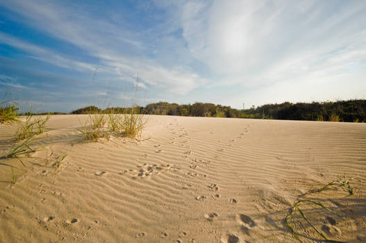 Beach Sand Dunes sky stock