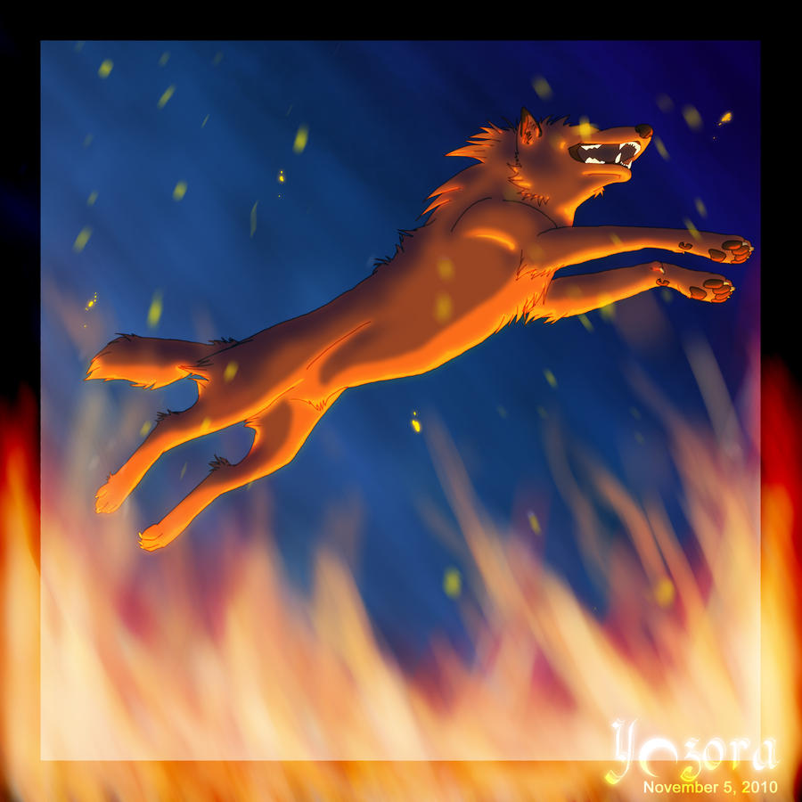 Leap Through the Fire