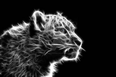 Snow Leopard.14.