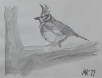 Bridled Titmouse: Initial Sketch Idea