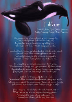 Tilikum