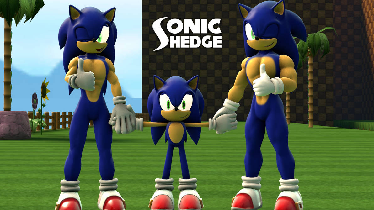 Sonic старая версия. Соник первая версия. Соник 1994. Соник 3.