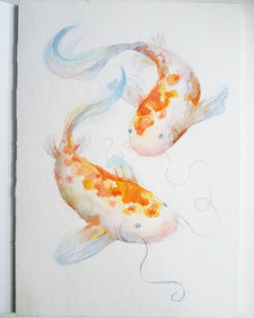 Watercolour Painting | Koi Fish