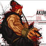 Akuma Technical Sig