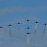 Red Arrows