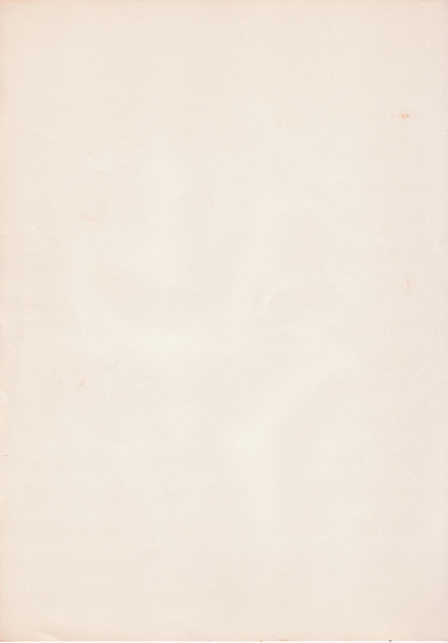 Rustic Paper 02 by furibonn on DeviantArt