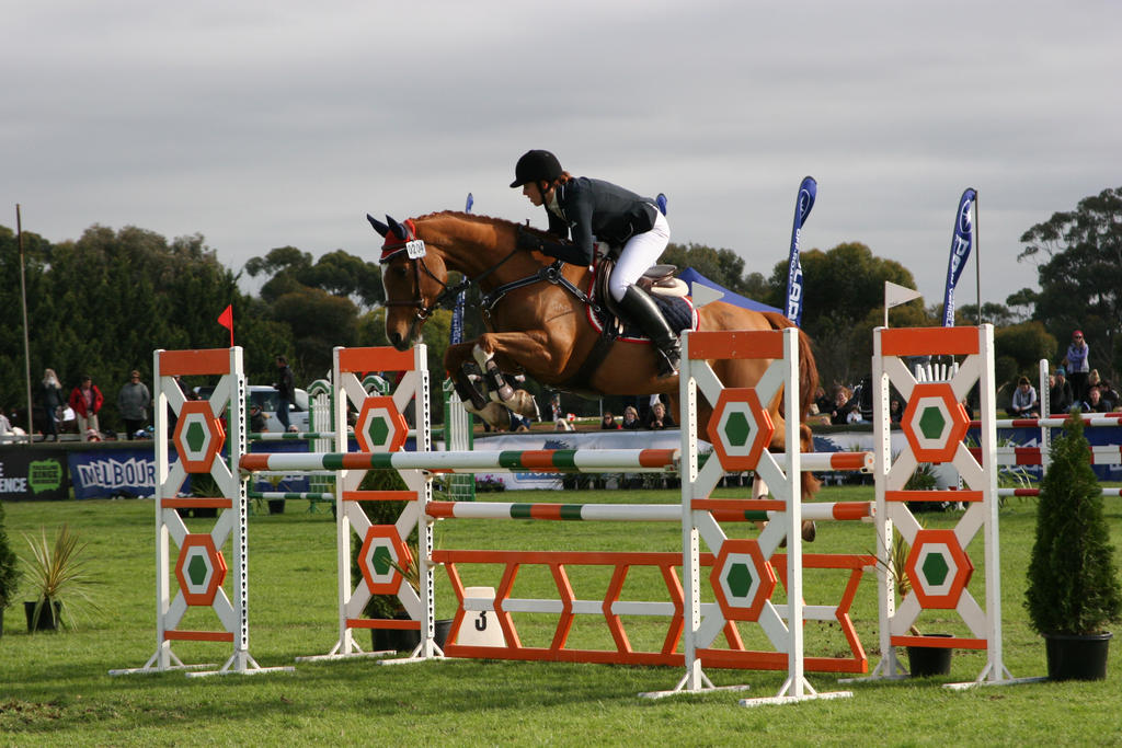 show jumping