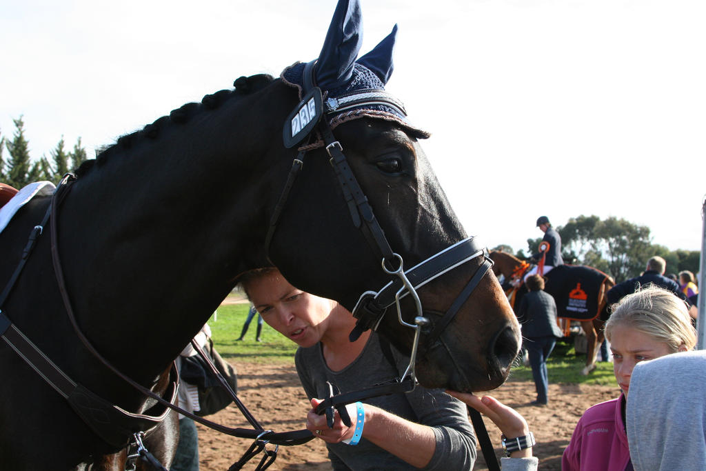 horse head