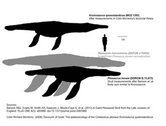 Giant Pliosaurs