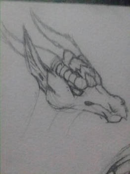 dragon doodle