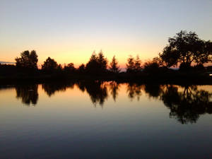 Evening Pond