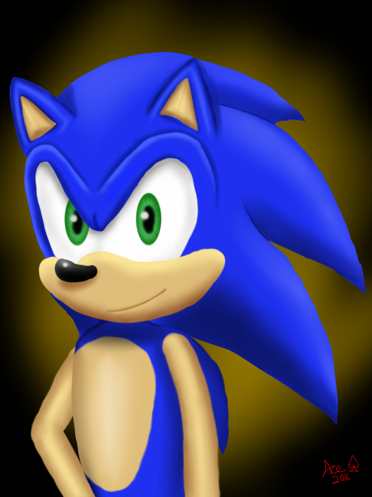 :Special: Sonic Portrait