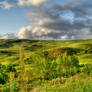 Sicilian Countryside 5