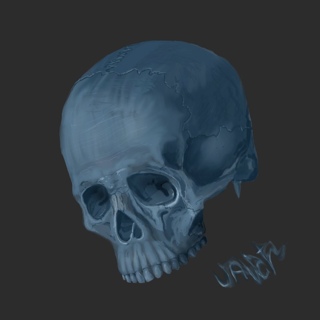 Skull