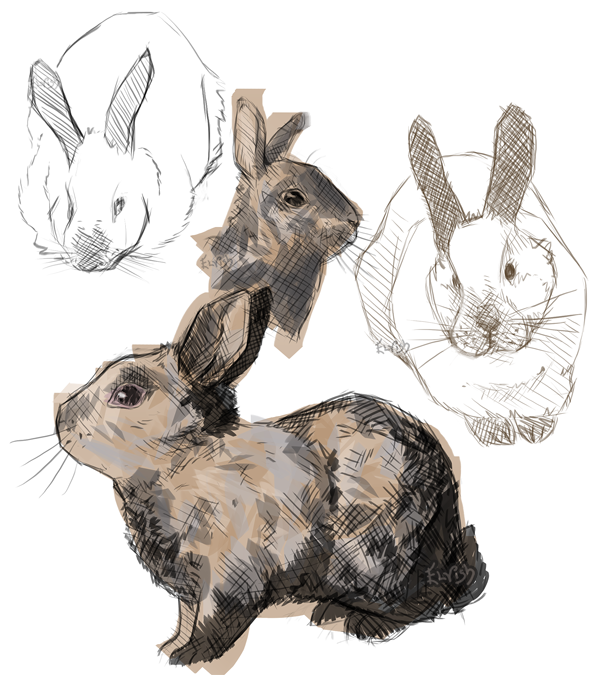 Bunnies