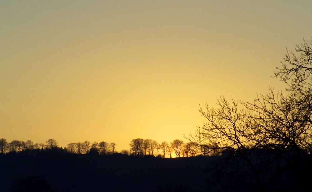 Golden Sunset