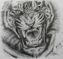 Tigers Roar