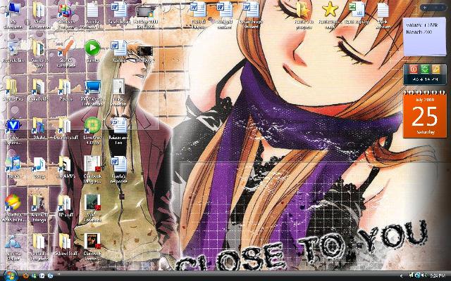 Bleach Desktop 2009