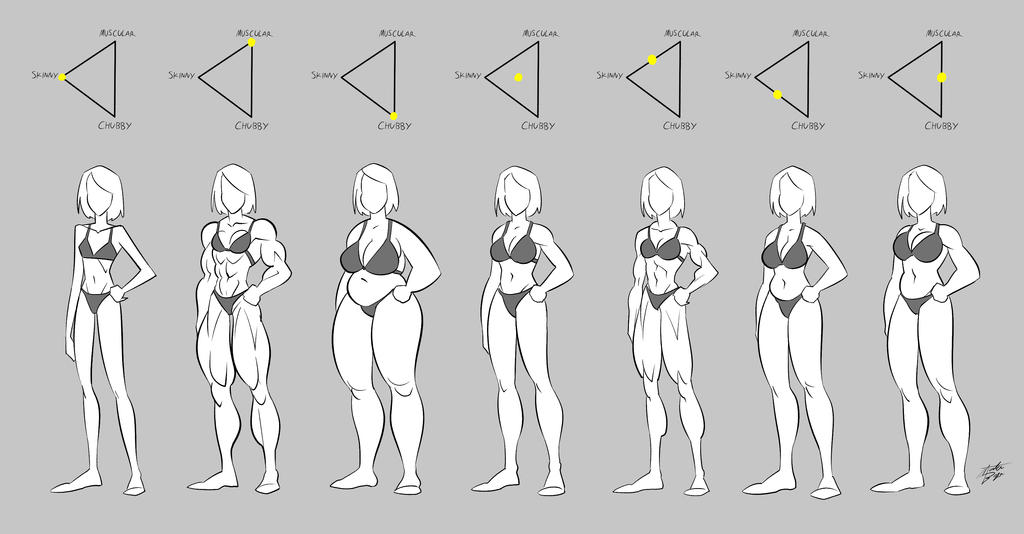 Female Body Types Study by mateusboga on DeviantArt