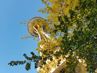 The Needle and the trees...