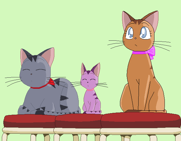 Daitokuji Cats