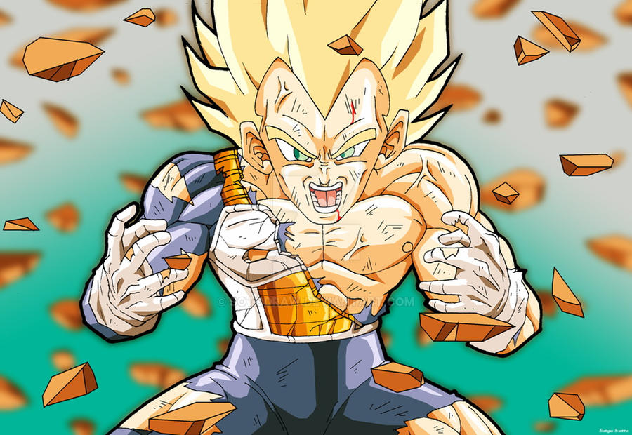 Furious Vegeta