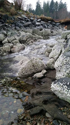 Water under the bridge.