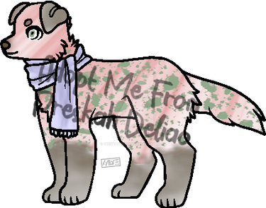 Peppermint Bark OPEN Adoptable