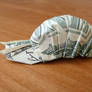 Dollar Bill Snail