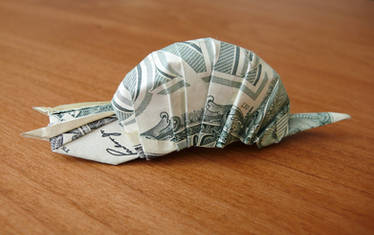 Dollar Bill Snail