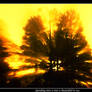 Tree crash v2