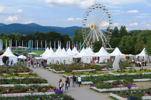 Danube flower show and Fair