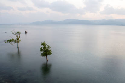 Shadows on the water