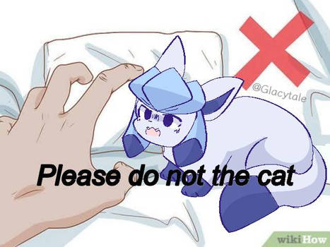 Please do not the cat (Glaceon fanart)