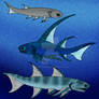Early Devonian Acanthodians