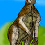 Procoptodon goliah V1