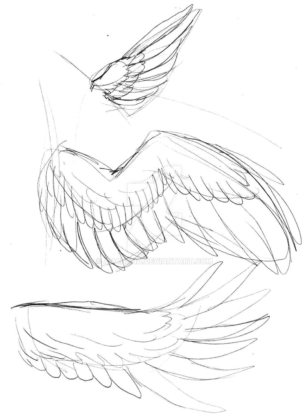 Dynamic Wing Reference Wing References 01 by avancna on DeviantArt