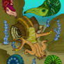 Araxoceras latissimum