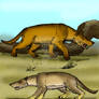 Hyaenodon gigas