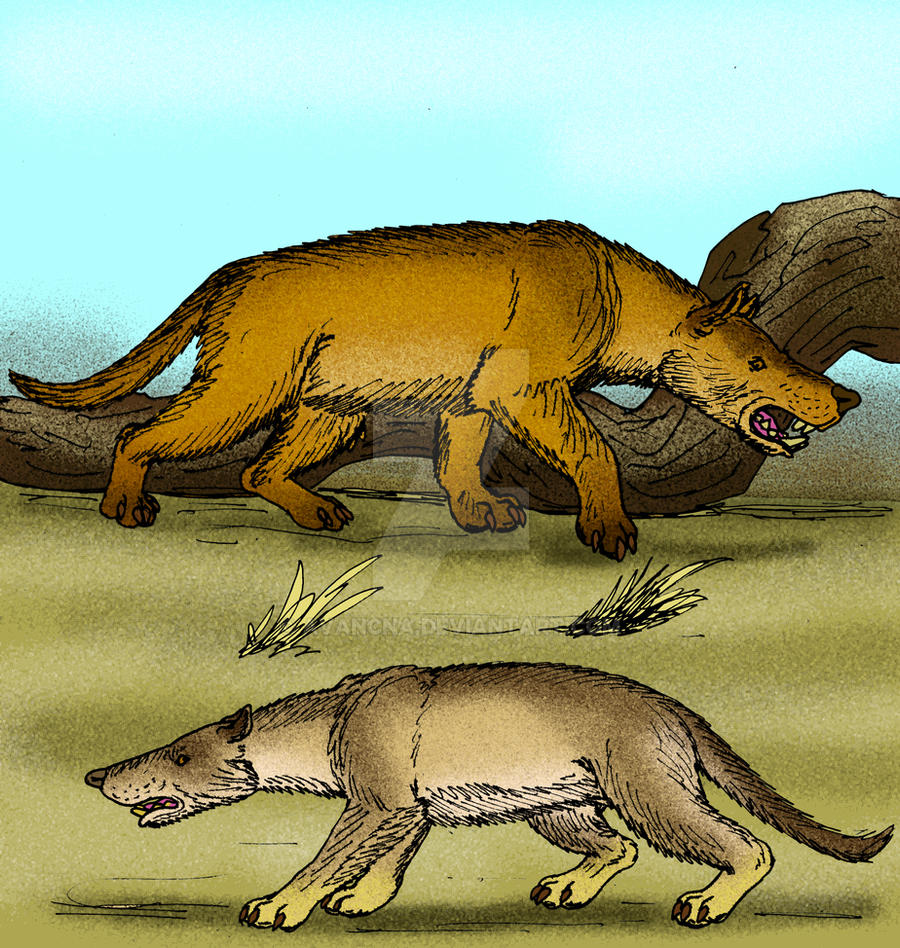 Hyaenodon gigas