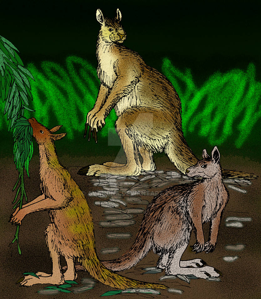 Giant Kangaroos by avancna on DeviantArt