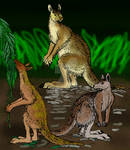 Giant Kangaroos