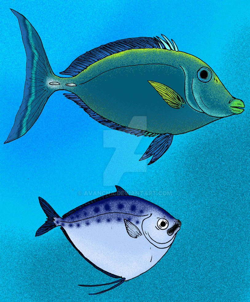 Mene Poisson Mene novaehispaniae by avancna on DeviantArt