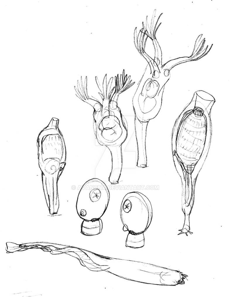 Sketch Stemmed Animals by avancna on DeviantArt