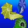 Turonian Ammonites 01