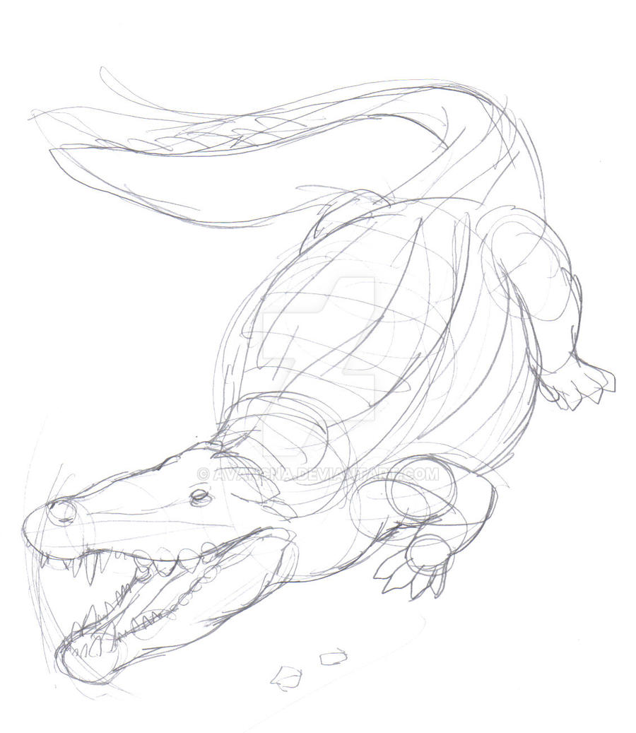 Sketch Deinosuchus by avancna on DeviantArt