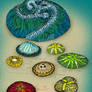 Trilobozoa