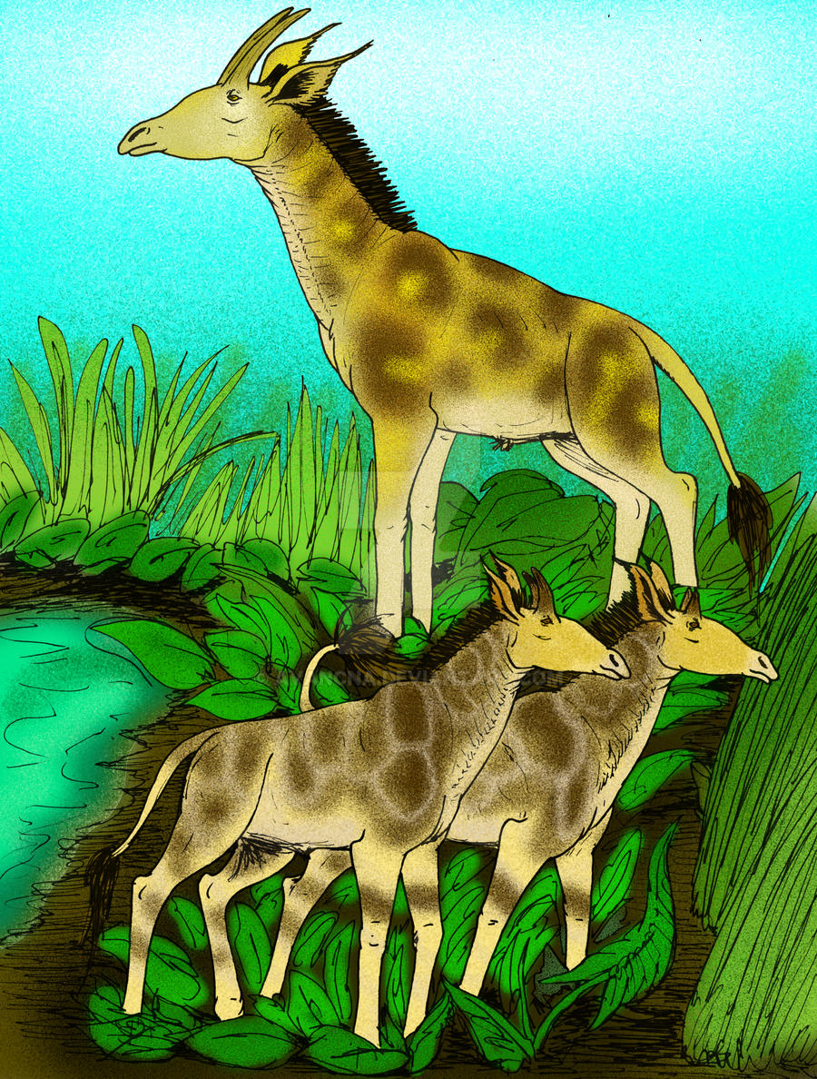Samotherium Samotherium species by avancna on DeviantArt