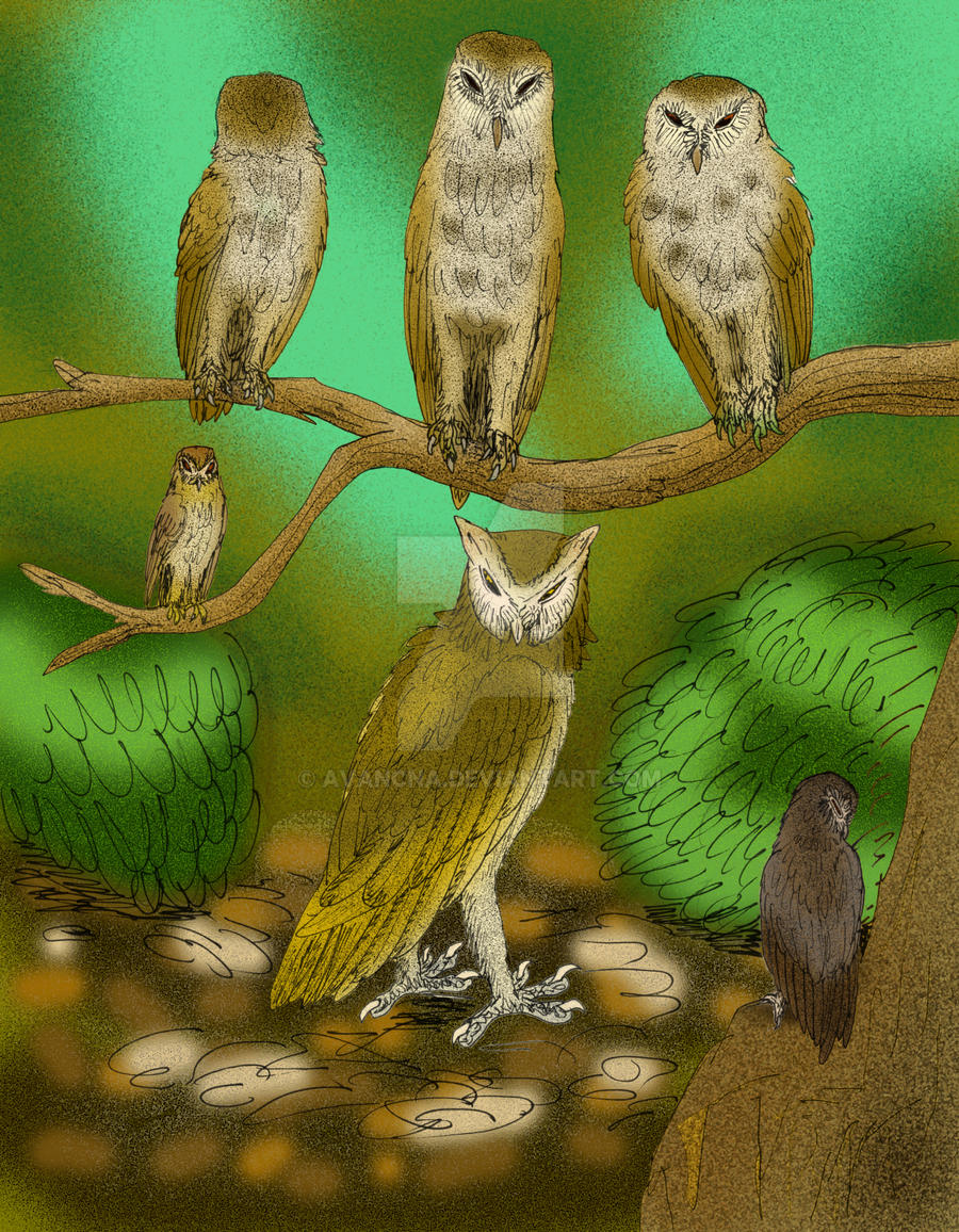 Court of Owls by avancna on DeviantArt Court of Owls by avancna on DeviantArt